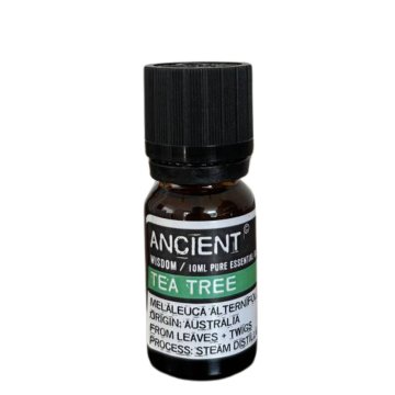 Tea tree - esenciálny olej 10 ml